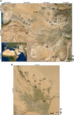 Agriculture in the Karakum: An archaeobotanical analysis from Togolok 1, southern Turkmenistan (ca. 2300–1700 B.C.)